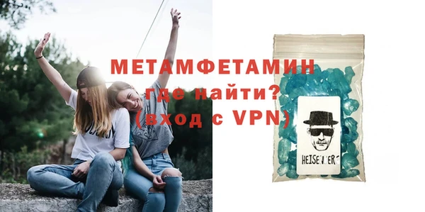 сатива Новозыбков