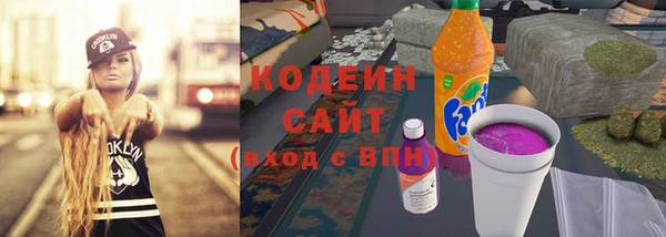 сатива Новозыбков