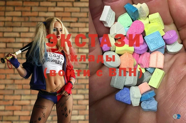 сатива Новозыбков