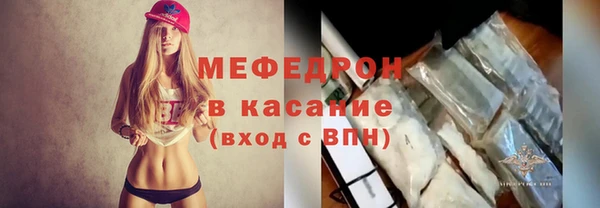 сатива Новозыбков