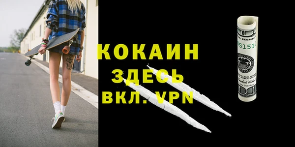 сатива Новозыбков
