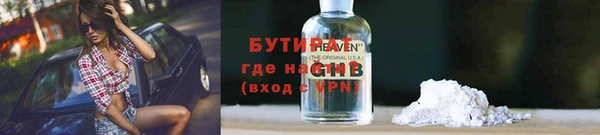 сатива Новозыбков