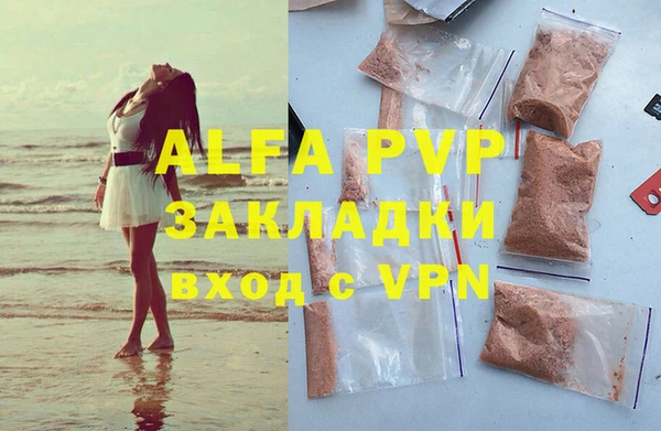 сатива Новозыбков
