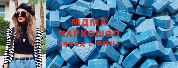 сатива Новозыбков