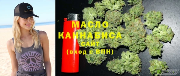 сатива Новозыбков