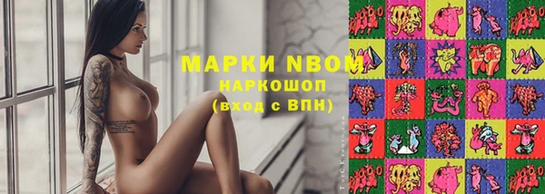 молекула духа Новокубанск