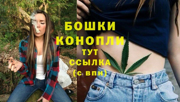 молекула духа Новокубанск