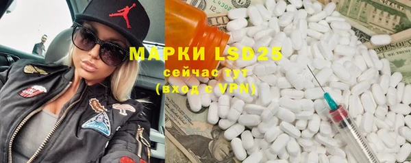 сатива Новозыбков