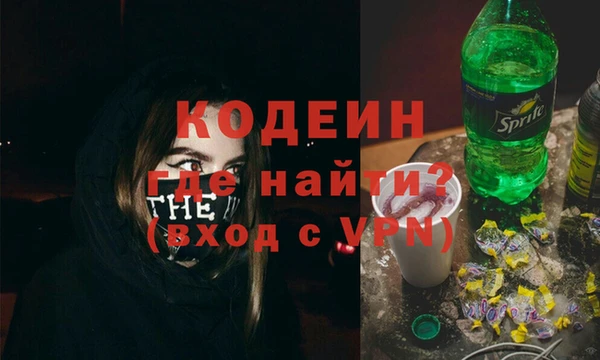 сатива Новозыбков