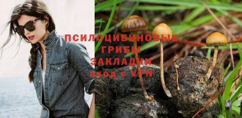 Псилоцибиновые грибы Magic Shrooms  Туринск 