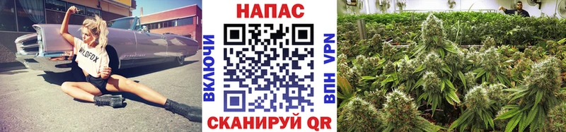 Канабис SATIVA & INDICA  что такое наркотик  Туринск 